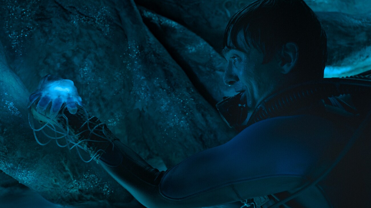 Austin Abrams a Bálnahullás egyik jelenetében