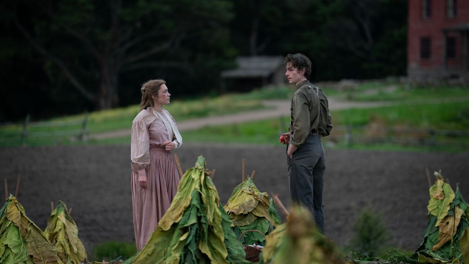 Florence Pugh és Mike Faist az Édentől keletre sorozat farmjelenetében